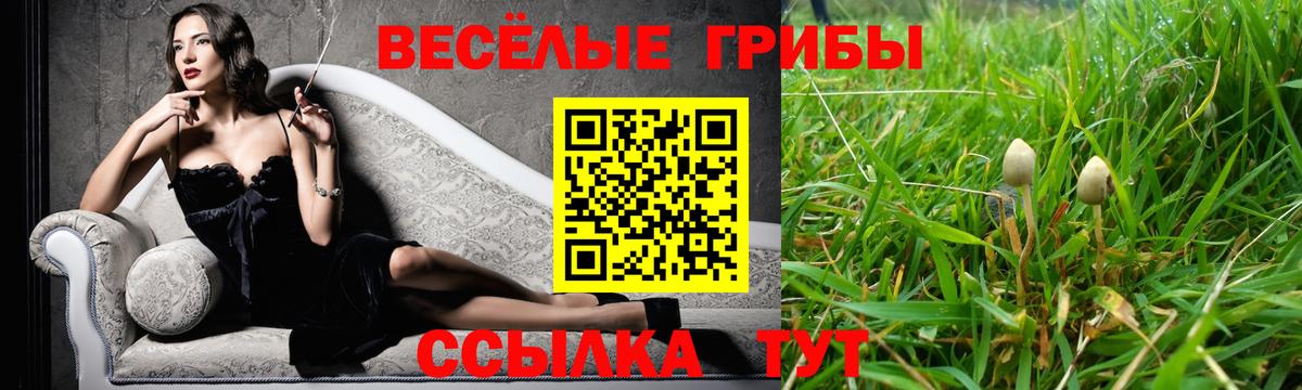 Галлюциногенные грибы MAGIC MUSHROOMS Черняховск
