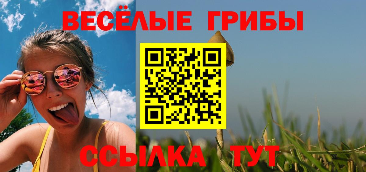 Галлюциногенные грибы MAGIC MUSHROOMS  Вход с VPN  Черняховск 